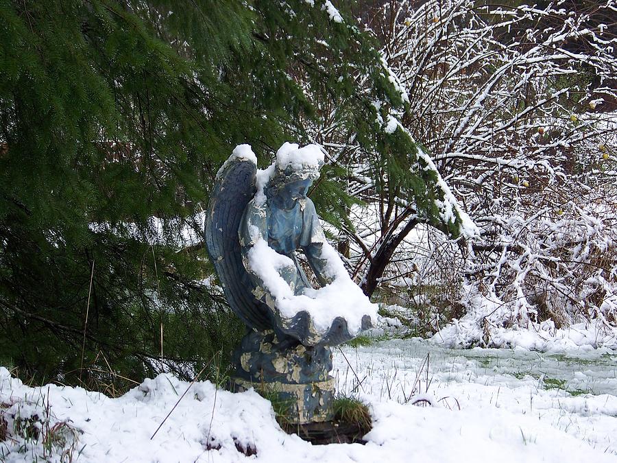 Angel Snow Photograph by Julie Rauscher