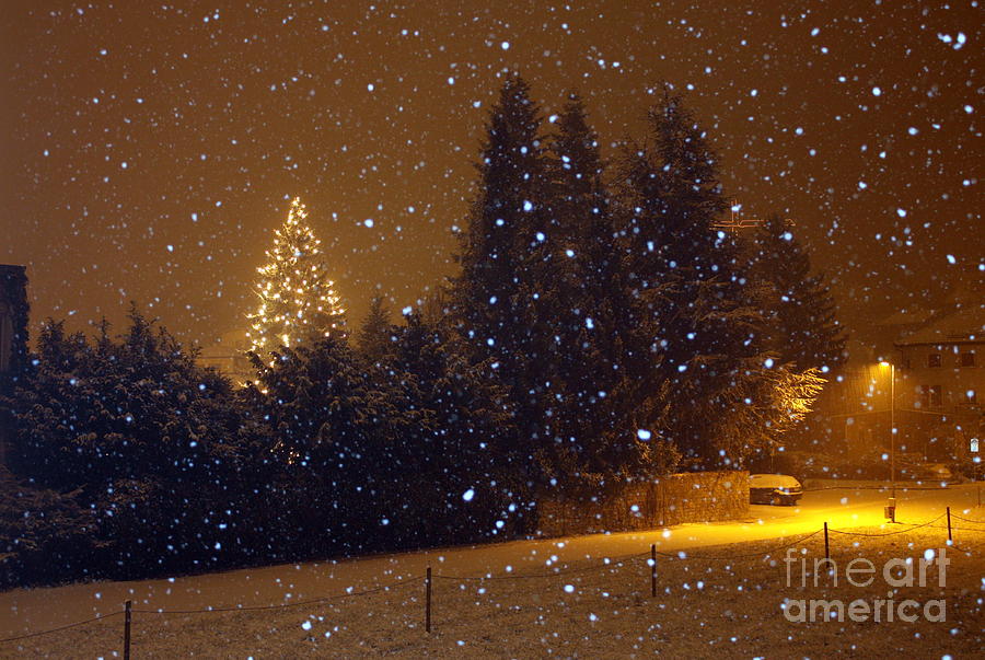 Snow at Christmas  Photograph by Mariana Costa Weldon