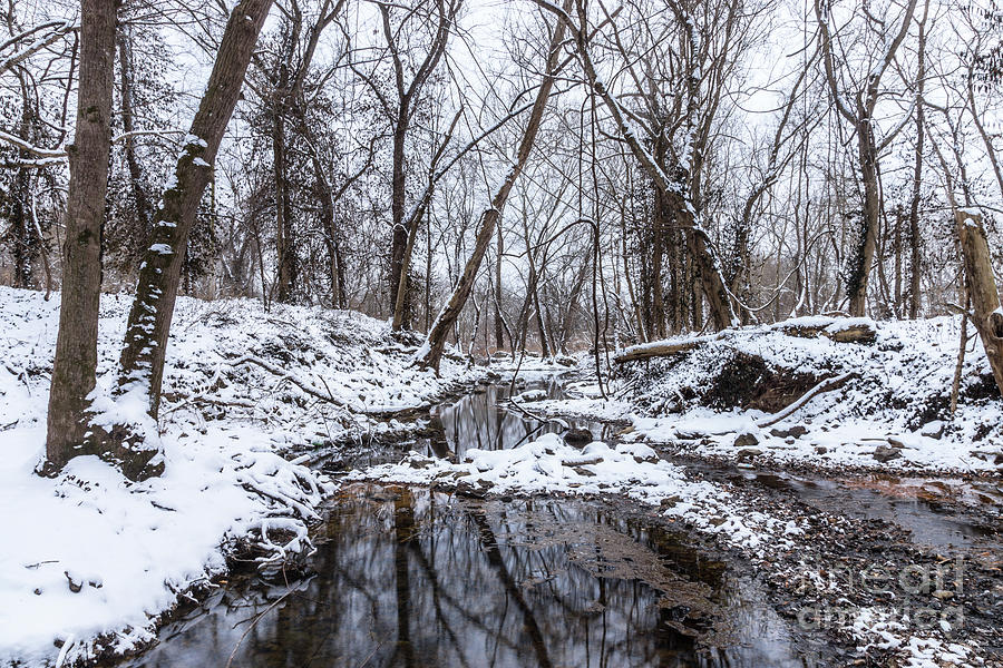 Winter Photograph - Snow At The Finley by Jennifer White