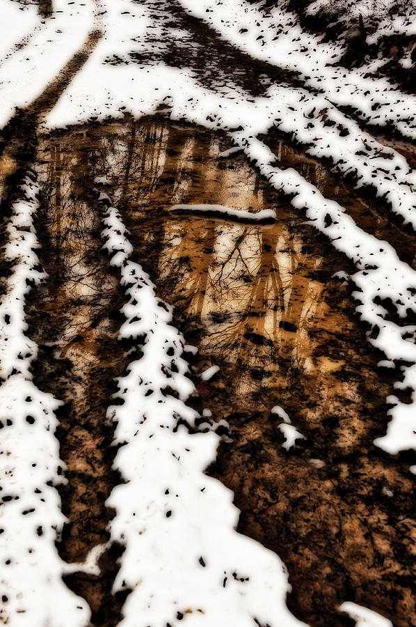 Snow Bound Reflections Photograph by Lara Ellis