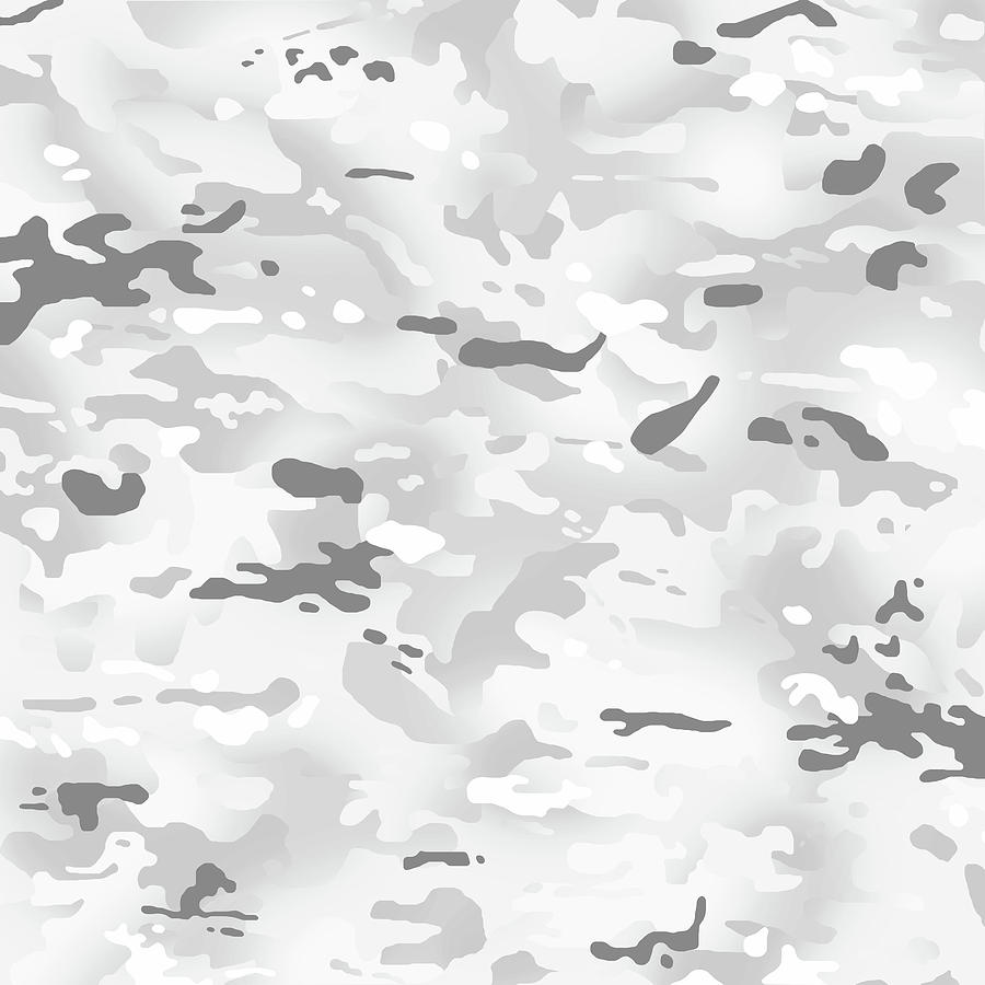 Snow Camouflage Digital Art by Jared Davies - Pixels