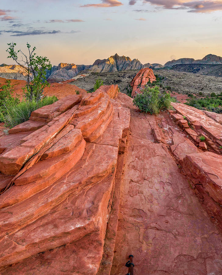 Snow Canyon Petrified Dunes Photograph by Tim Fitzharris