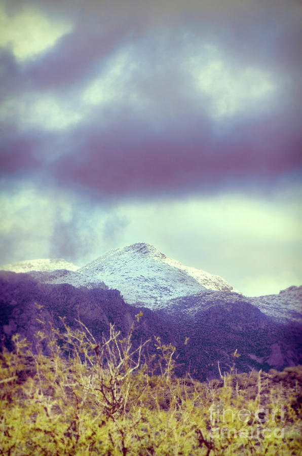 Snow Capped Mountain Photograph by Jill Battaglia