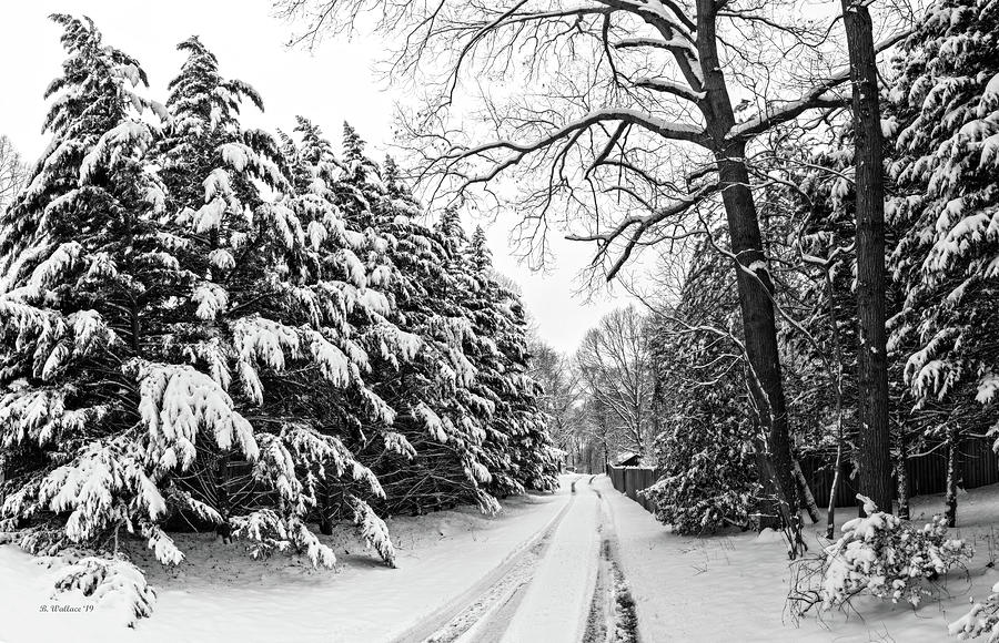 Snow Cover BW Photograph by Brian Wallace