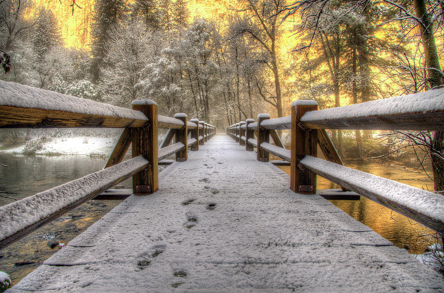 Snow Covered Bridge Photograph by Hal Jurcik