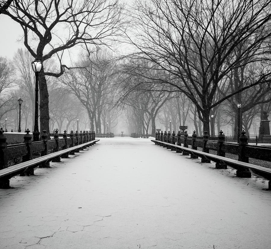 Snow Covered Central Park Photograph by Jay De Winne - Pixels