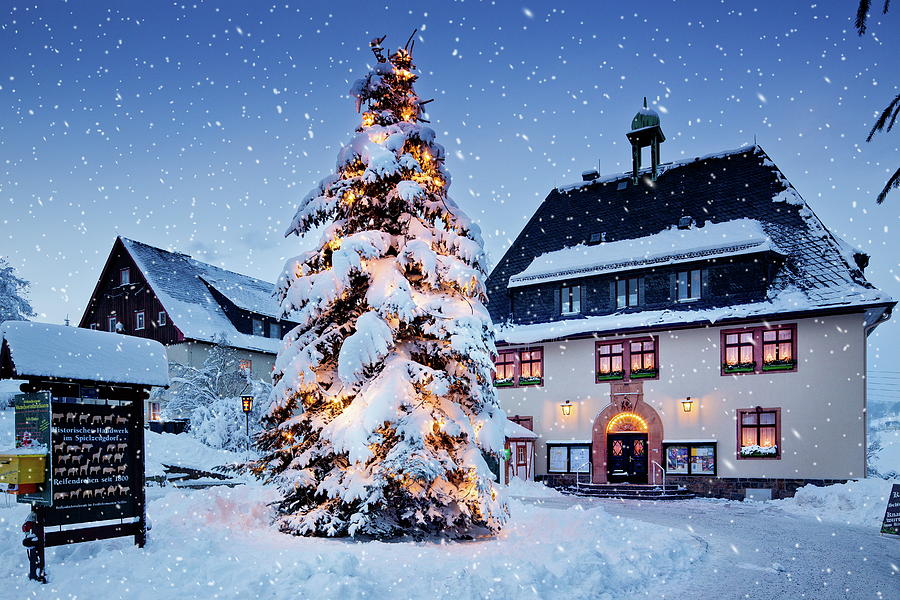 Snow Covered Christmas Tree Digital Art by Reinhard Schmid