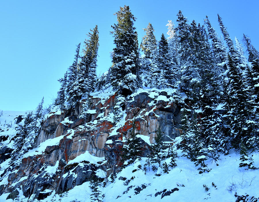 Snow Covered Cliffs above Scenic Byway 65 on Grand Mesa in Colorado Photograph by Ray Mathis