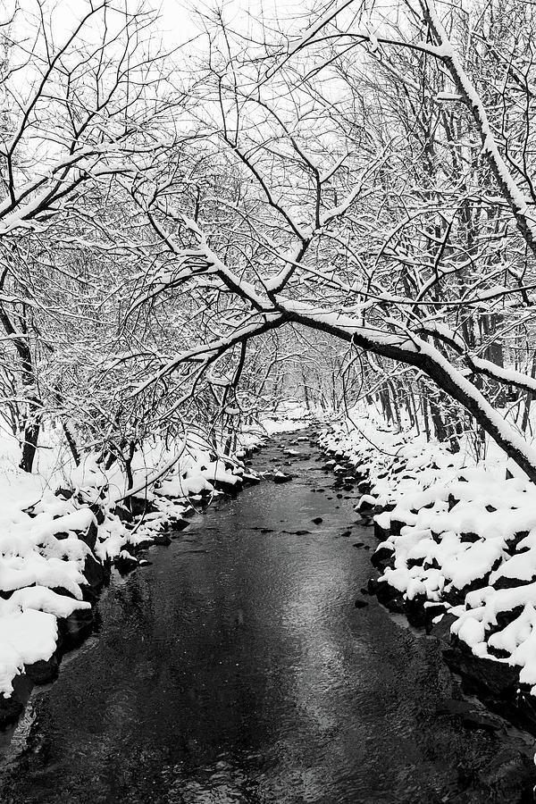Snow Covered Creek Photograph by Liz Albro