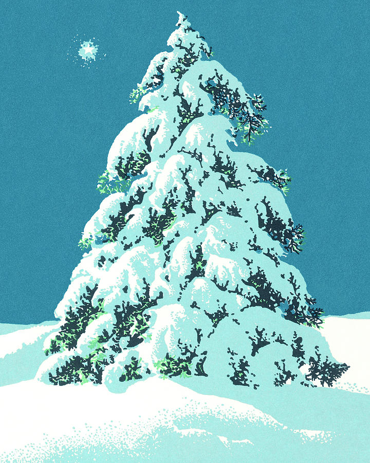 Snow Covered Evergreen Tree Drawing by CSA Images Fine Art America