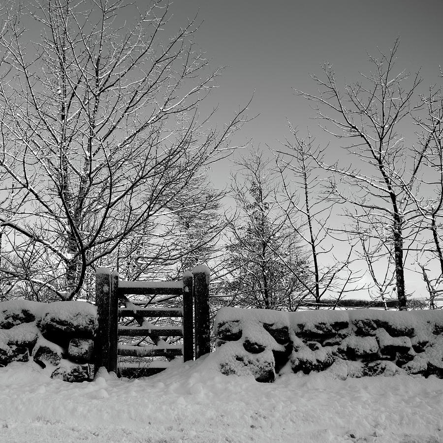 Snow Covered Gate and Wall Photograph by Helen Jackson