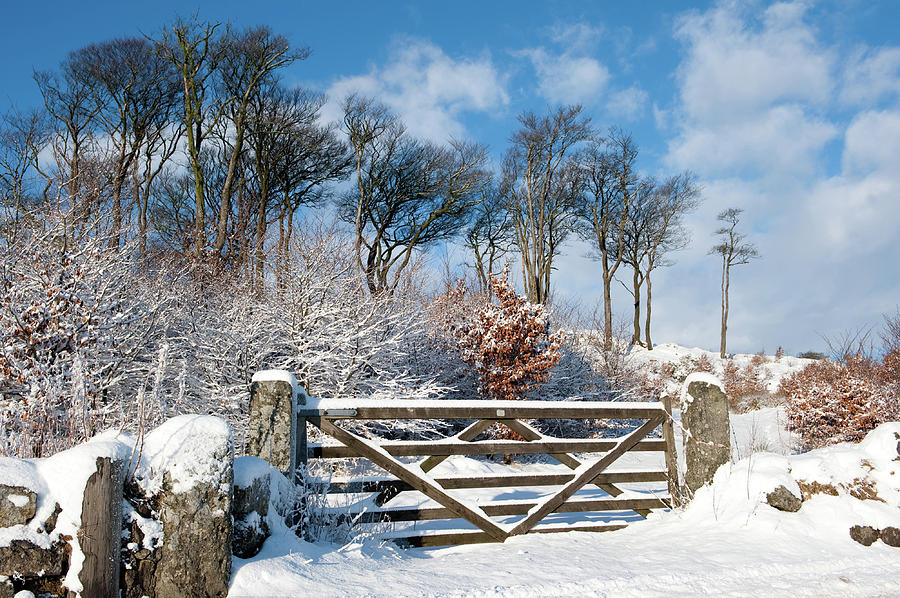 Snow Covered Gate and Wall ii Photograph by Helen Jackson