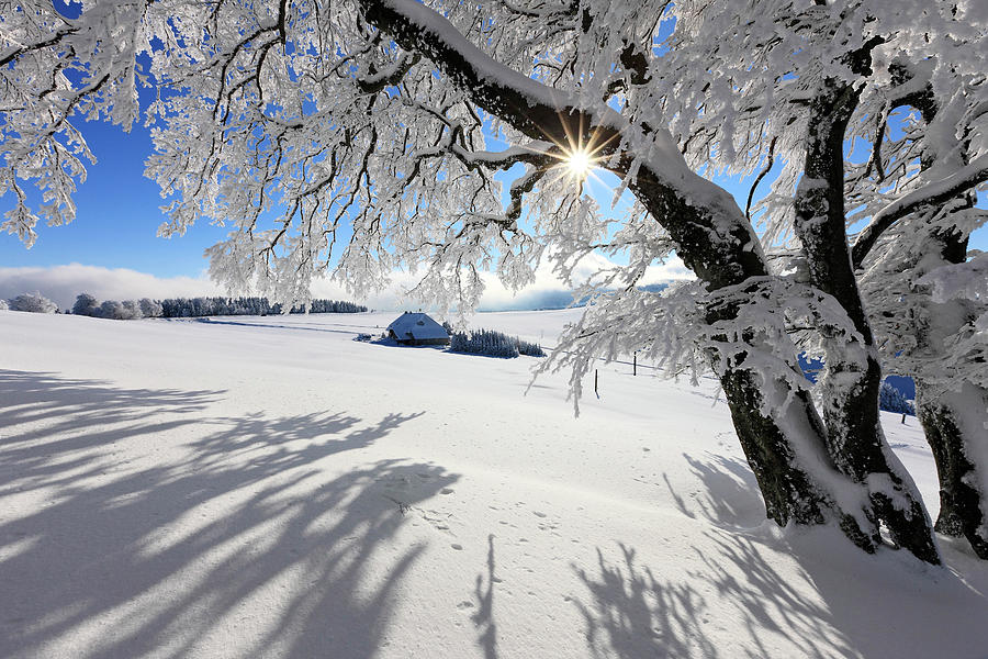Snow Covered Landscape, Germany Digital Art by Reinhard Schmid