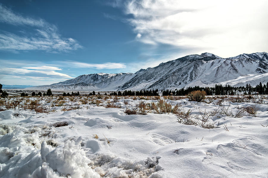 Snow Covered Landscape Photograph by Maria Coulson