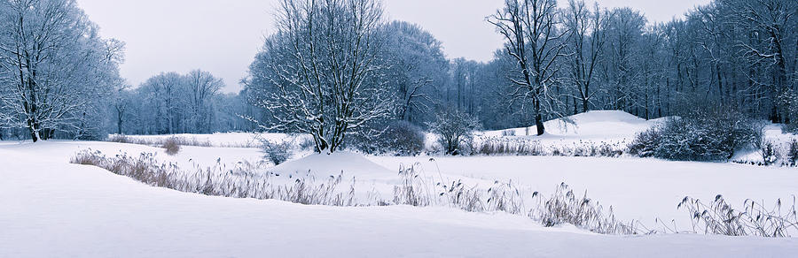 Snow Covered Landscape Park Photograph