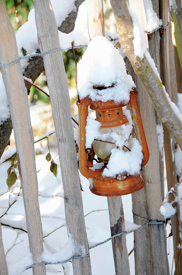 Snow-covered Lantern Hanging On Garden Fence Photograph by Revier 51