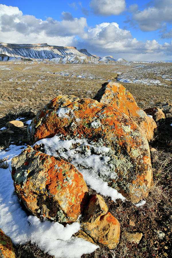 Snow Covered Lichen Covered Boulders at Book Cliffs Photograph by Ray Mathis