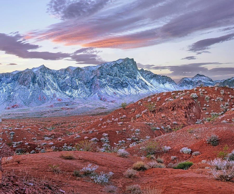 Snow-covered Muddy Mountains, Valley Of Fire State Park, Nevada Photograph by Tim Fitzharris