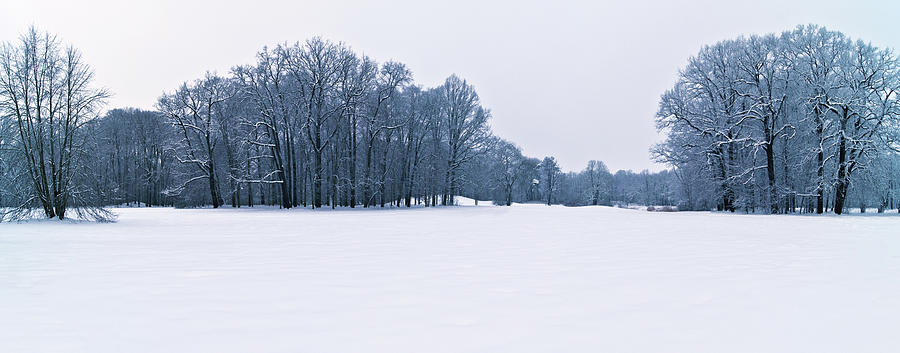 Snow Covered Park Photograph