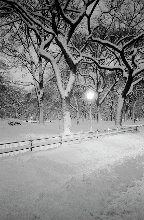 Snow Covered Promenade, Central Park Photograph by Walter Bibikow