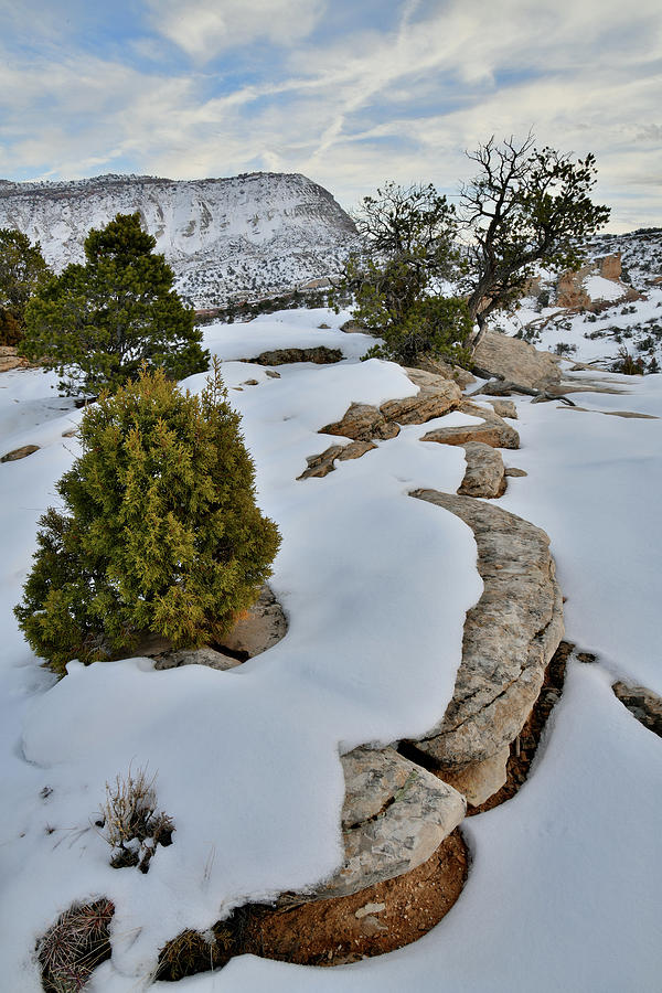 Snow Covered Ridge in Colorado National Monument Photograph by Ray Mathis