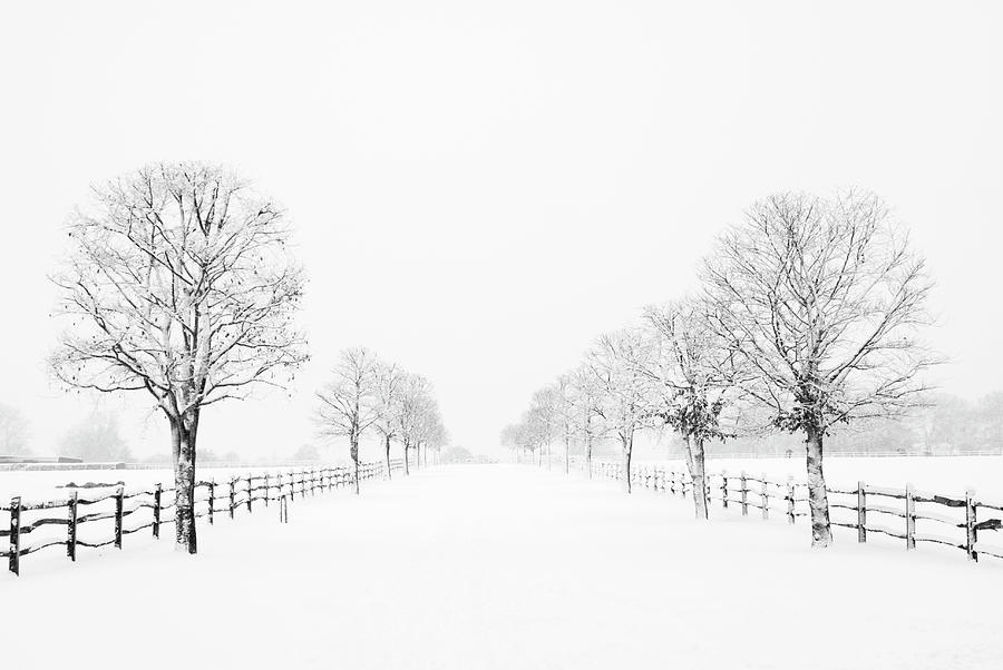 Snow Covered Road Lined With Trees And Photograph by Anthiacumming