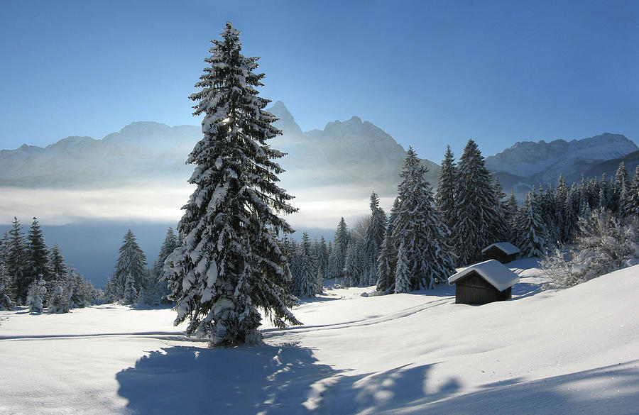 Snow Covered Scene In Tirol - Austria Photograph by Wingmar