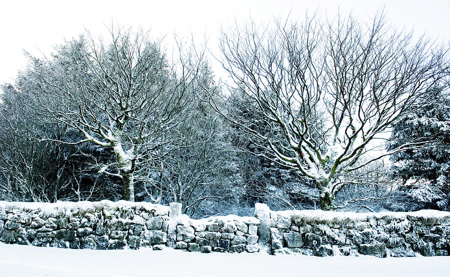 Snow Covered Wall i Photograph by Helen Jackson