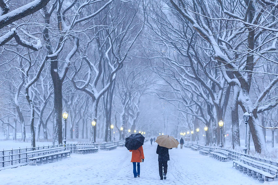 Winter Photograph - Snow Day At Central Park by James Bian