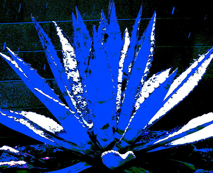 Snow Day Blue Digital Art by M Diane Bonaparte