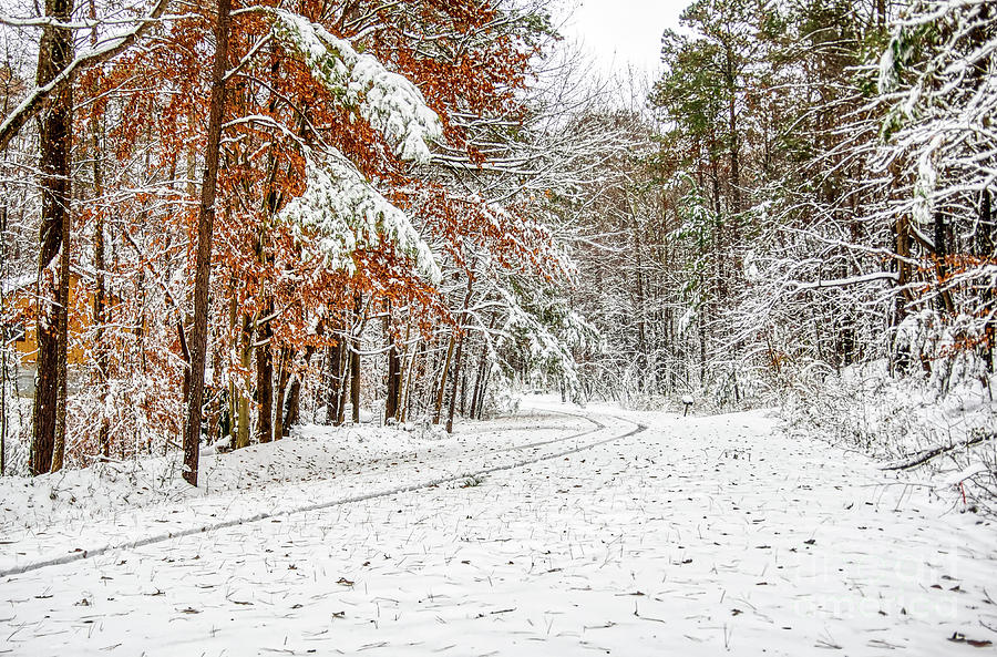 Snow Day by James Foshee Snow Day by James Foshee