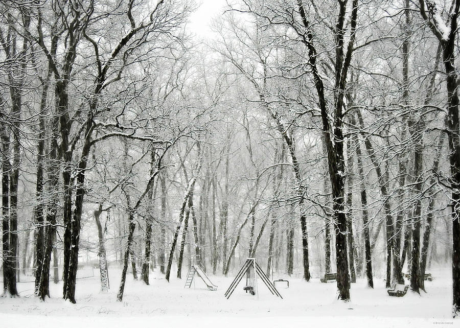 Tree Photograph - Snow Day Nostalgia by Dark Whimsy
