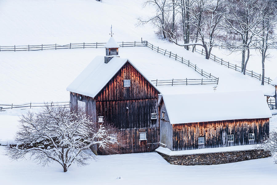 Barn Photograph - Snow Day On The Farm by Brenda Petrella Photography Llc