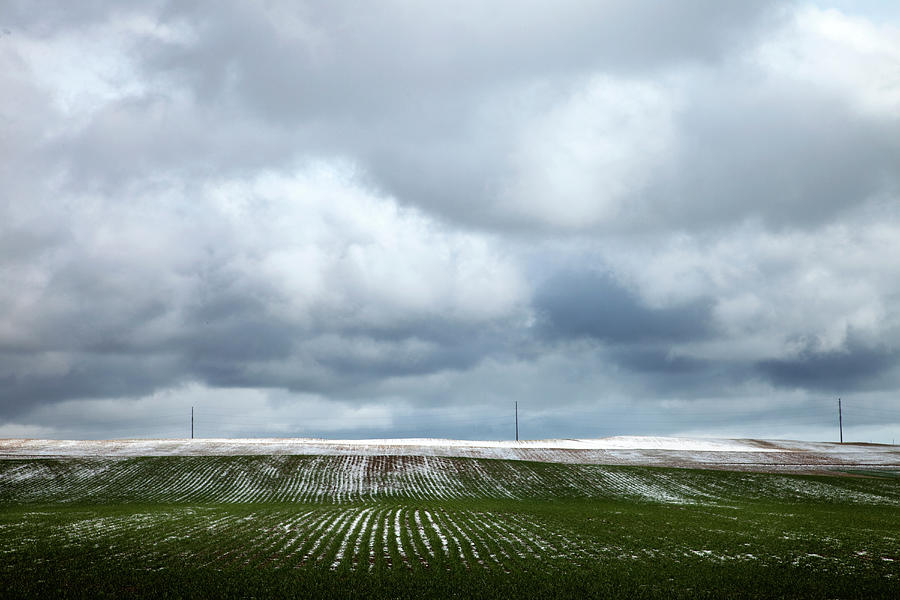 Snow Dusted Field With Storm Coulds Photograph by Nivek Neslo