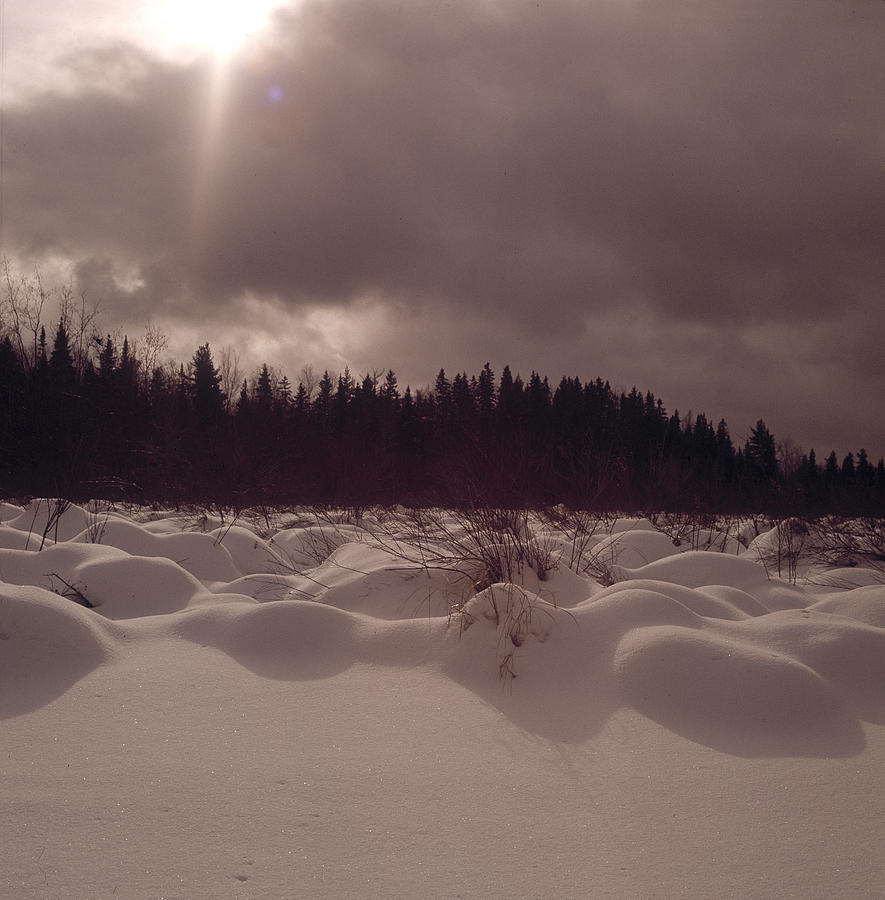 Snow Field Photograph by Robert Natkin