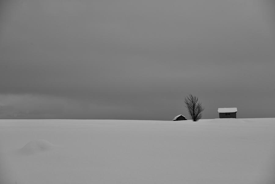 Snow Fields Photograph by Bongok Namkoong