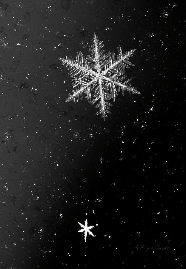 Snow Flakes 5 bw Photograph by Roger Snyder