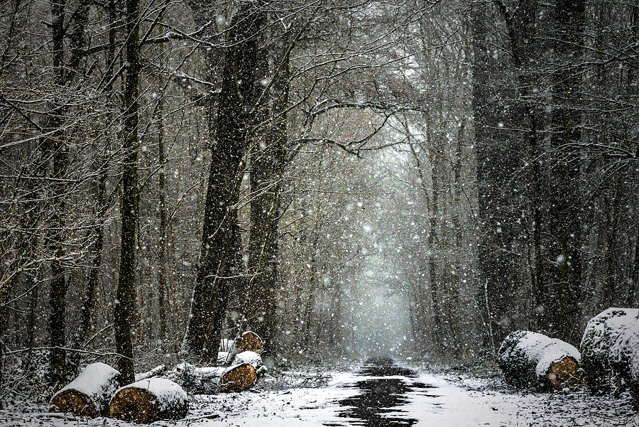 Winter Photograph - Snow Flakes by Isabelle Dupont