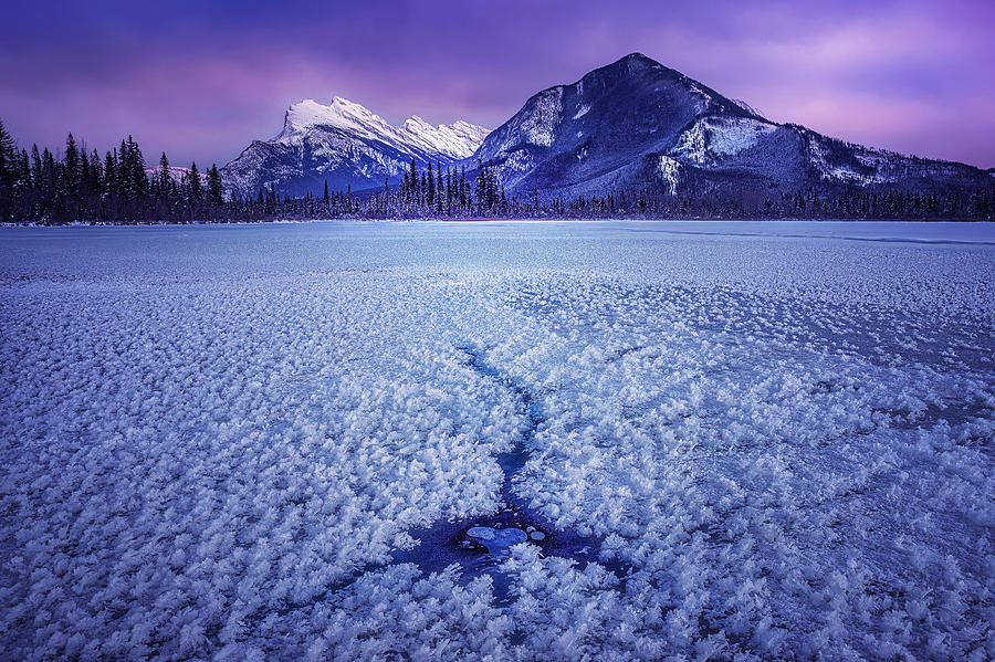 Snow Flowers On Vermilion Lakes Photograph by Lisa Zhang