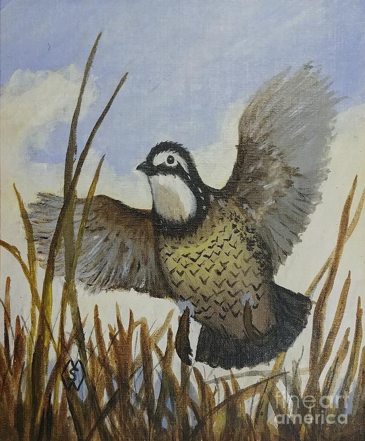 Bobwhite Quail Flushed Painting by Matt Starr | Fine Art America