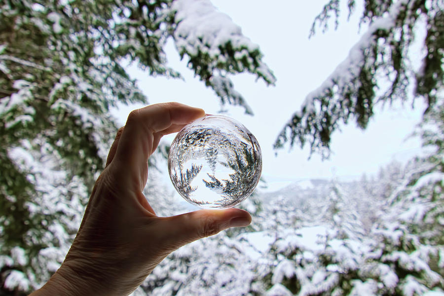 Snow Globe Photograph by Peggy Collins