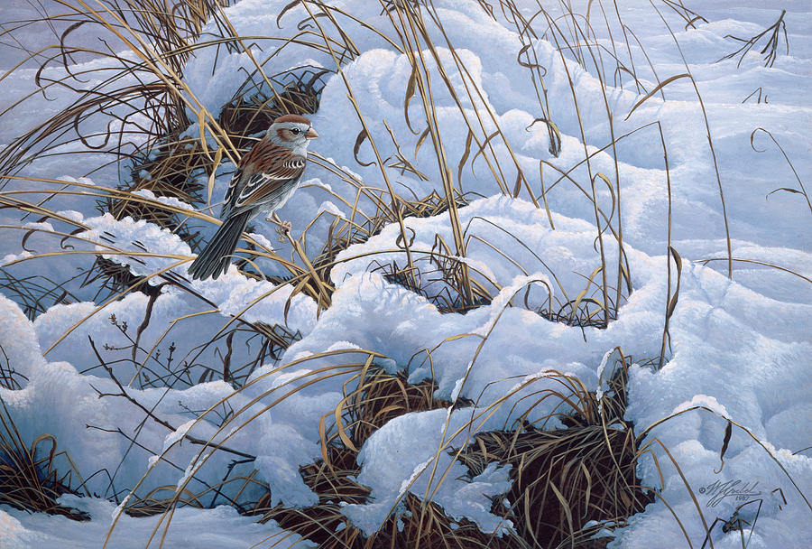 Bird Painting - Snow Glow Field Sparrows by Wilhelm Goebel