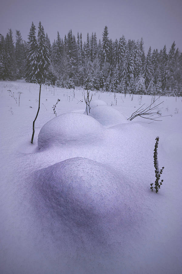Snow Hummocks Photograph by Andrey Kotov