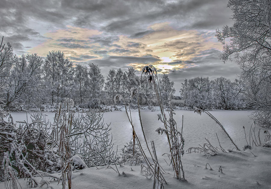 Snow #i3 Photograph by Leif Sohlman