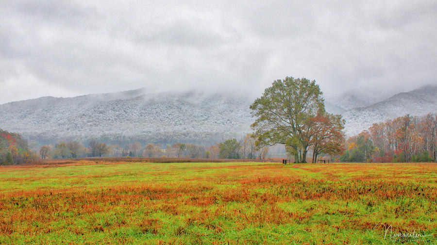 Snow in Cades Cove Photograph by Nunweiler Photography