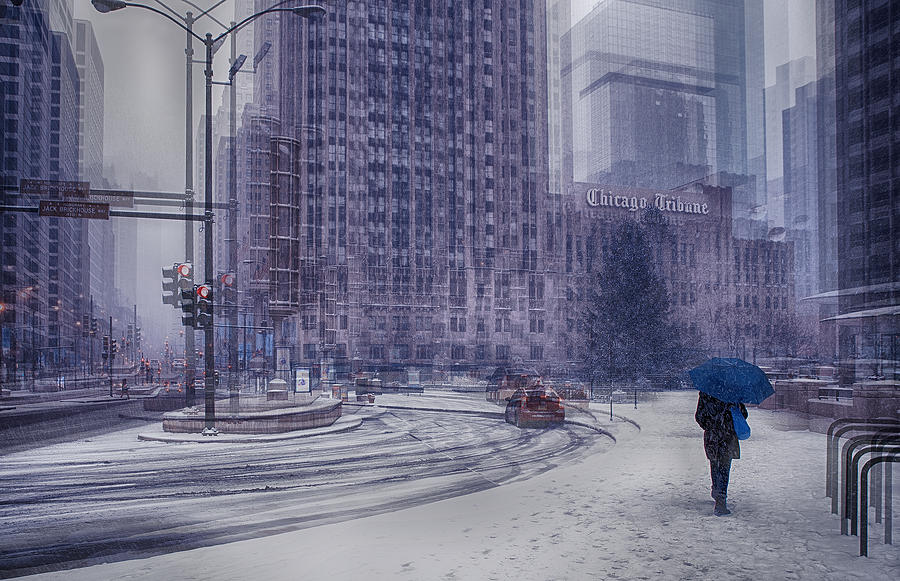 Snow In Chicago Photograph by C.s. Tjandra
