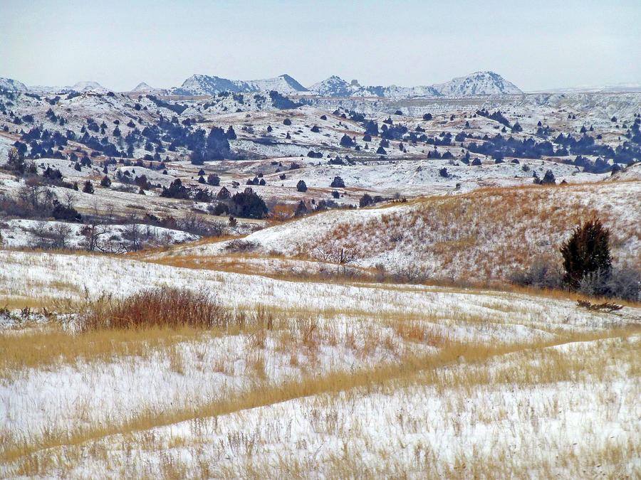 Snow in Dakota Photograph by Cris Fulton