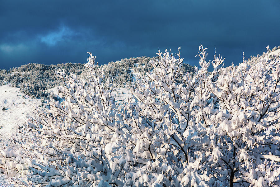 Snow In Golden, Colorado by Jeanette Fellows Snow In Golden, Colorado by Jeanette Fellows