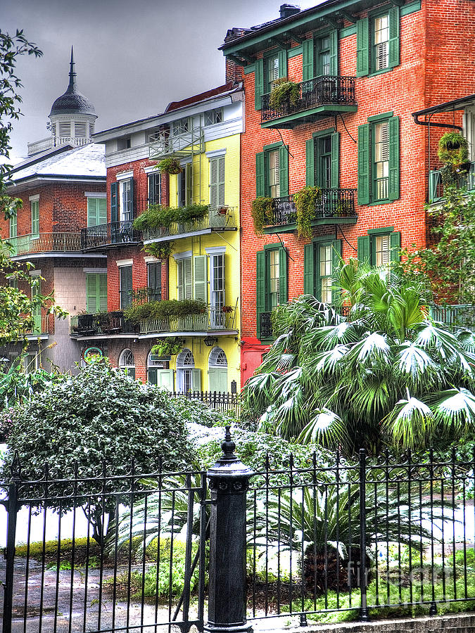 Snow in New Orleans Photograph by Alex Demyan Fine Art America