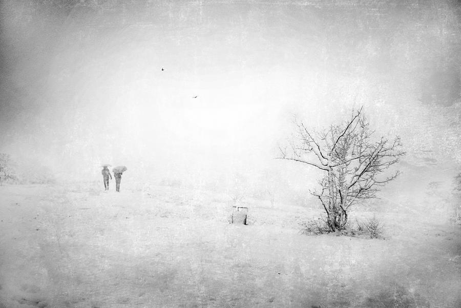 Snow In The Park Photograph by Nicodemo Quaglia
